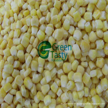 IQF Fresh Sweet Corn Kernel Neue Ernte mit FDA